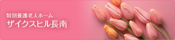 特別養護老人ホーム ザイクスヒル長南